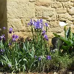 Maison En Dordogne Avec Wifi Et Velos, Proche Sites Touristiques - Fr-1-616-409 בית נופש *
