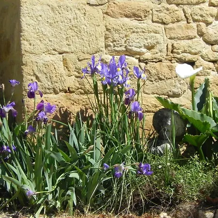 Maison En Dordogne Avec Wifi Et Velos, Proche Sites Touristiques - Fr-1-616-409 Prázdninový dům *